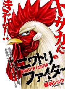 Baca Petarung Ayam Jantan
