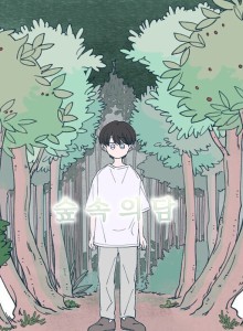 Baca Bendungan Hutan