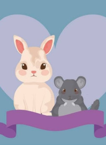 Baca Hamster Dan Kelinci