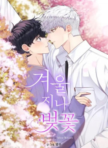 Baca Bunga Sakura Setelah Musim Dingin